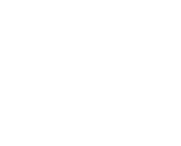 Conference Production